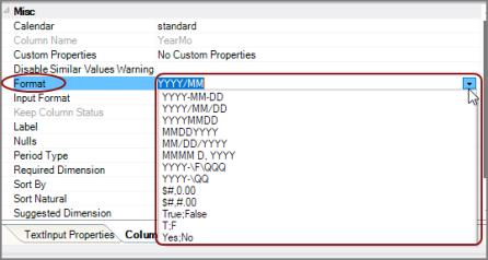 text-input Format Property