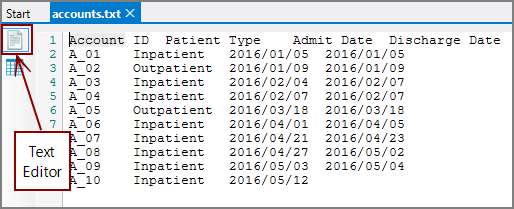 View Switcher Data Text Editor